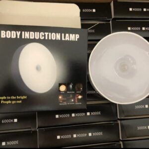 Body induction lamp
