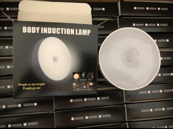 Body induction lamp