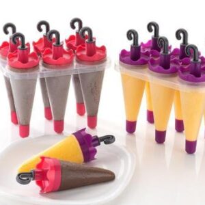 Kulfi Mould 6Pcs Set