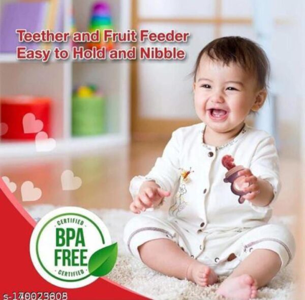 BABY FRUIT TEETHER