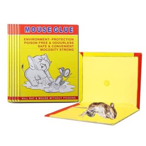 Mouse glue pad