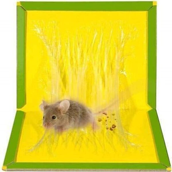 Mouse Glue Pad Insect Rodent Lizard Trap Rat Catcher Adhesive Sticky Glue Pad, Non Poisonous, Non Toxic, Odourless (Yellow) - Image 4